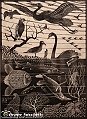 VBS_4843 - Mostra Escher